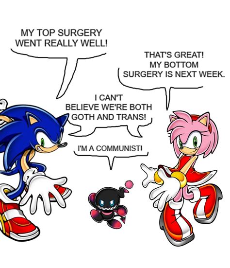 #sonamy #trans #meme nel 2025