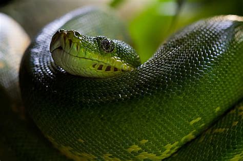Image result for Operaciones Con Matrices Numpy Python