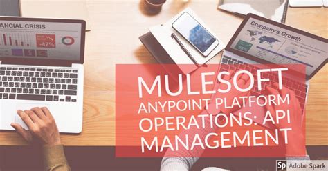 Image result for Any Point API Manager