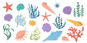 Shell 的图像结果