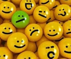 Barrons 333 - High Frequency Words - Pictured Flashcards | Quizlet