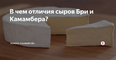 Бри и камамбер: есть ли разница, отличия по пользе, цене, вкусу