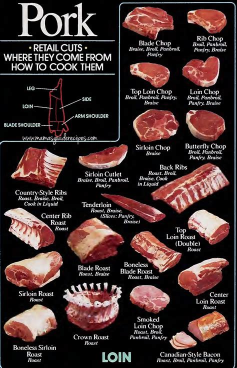Pork Meat Cut Guide Pork Sirloin Roast, Rib Steak, Tenderloin Roast ...