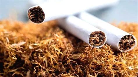 ക ഞ്ചാ വും നി രോ ധിത പു ക യി ല ഉ ൽ പ്പ ന്ന ങ്ങ ളും പി ടി കൂ ടി - CASE ...