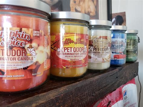 BATESBURG-LEESVILLE ANIMAL HOSPITAL - Batesburg-Leesville SC - Hours ...