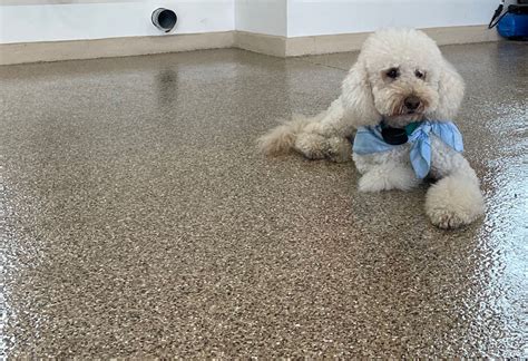 Stylish Flooring 101 Oxnard To Upgrade