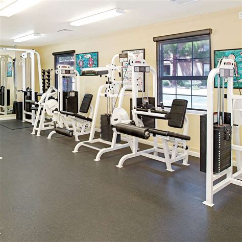 DESERT PARADISE RESORT LAS VEGAS, NV