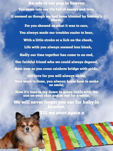 Pet Loss Poem, Dog Loss Poem With Your Dogs Photo Included ...