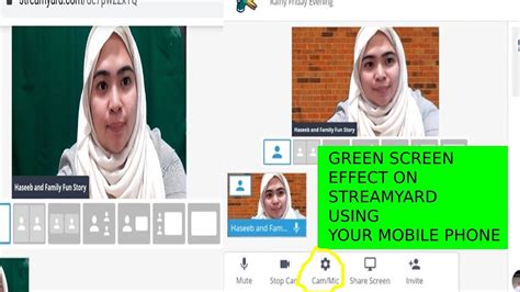 Stream Greenscreen 的图像结果