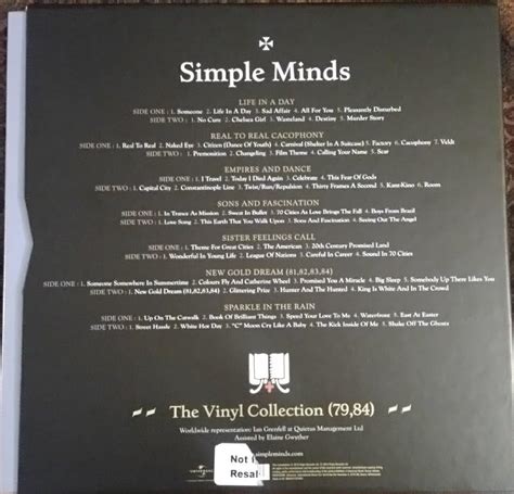 Image result for Simple Plan Vinyl Box Set