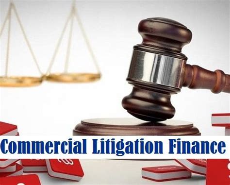 Litigation Financing 的图像结果