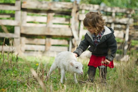 有羊羔的女孩在农场 库存图片. 图片 包括有 孩子, 少许, 国家（地区）, 幸福, 复活节, 童年, 女孩 - 57670357