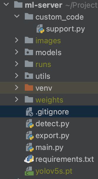 Image result for Python Server Model