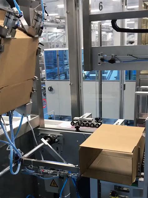 Image result for Case Packer Types