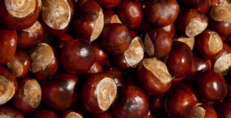 Rezultat imagine pentru Paired Programming Video