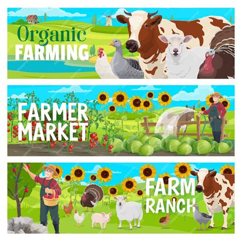 Premium Vector | Organic farm and market animals orchard veggies