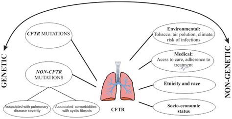 Genetic Modifying Factors of Cystic Fibrosis Phenotype: A Challenge for ...