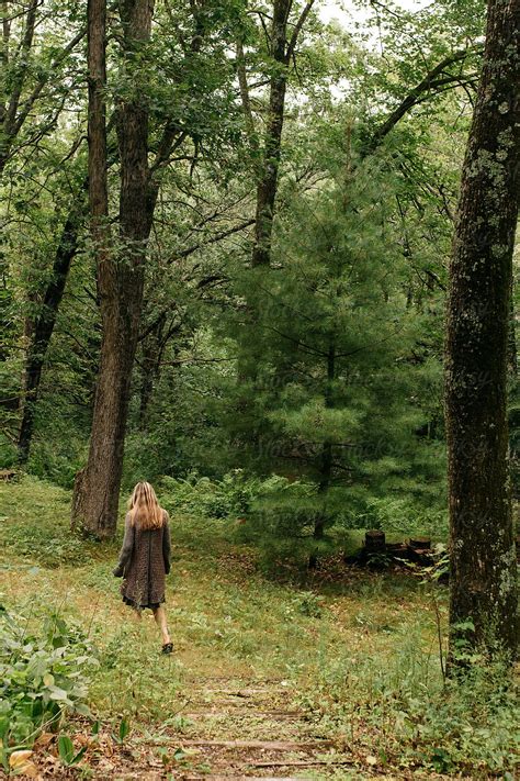 Walk-In Nature 的图像结果