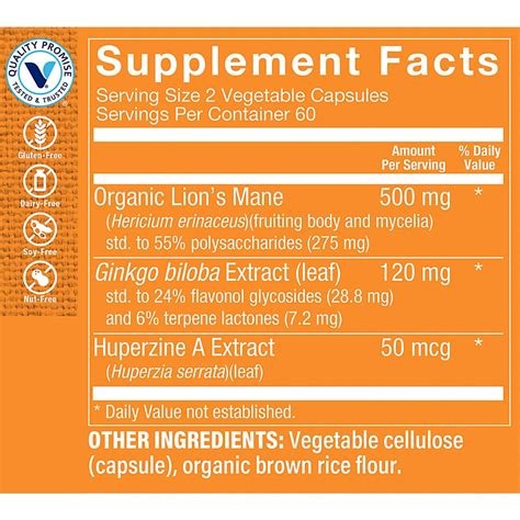 Buy The Vitamin Shoppe Ginkgo Biloba - Memory Support, Mental Clarity ...