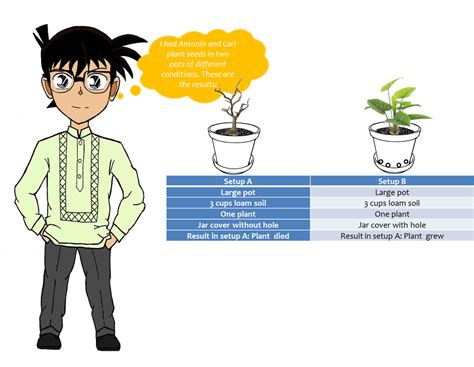 Identifying Variables Tutorial 的图像结果