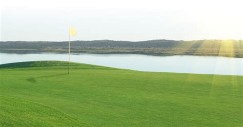 Humic DG 的图像结果