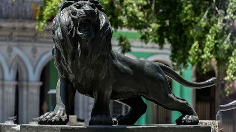 Las curiosidades de los Leones del Prado de Cuba – Prensa Bolivariana