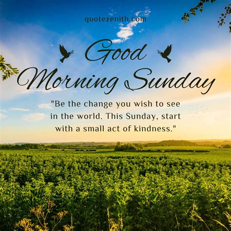 120+ Sweet Good Morning Sunday Blessings Images And Quotes For A Week