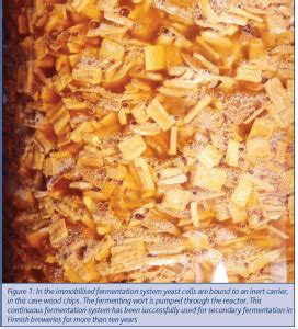 Traditional Biotechnology 的图像结果