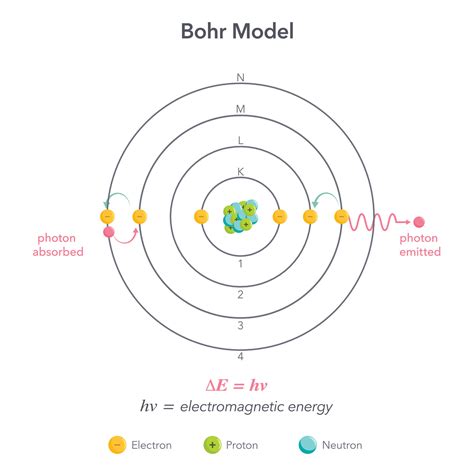 Bohrs Atomic Model Labeled