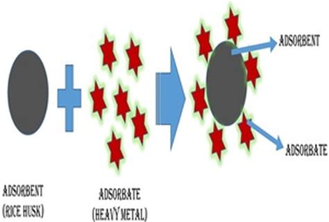 Image result for Compression Graph of Heavy Metal Adsorption