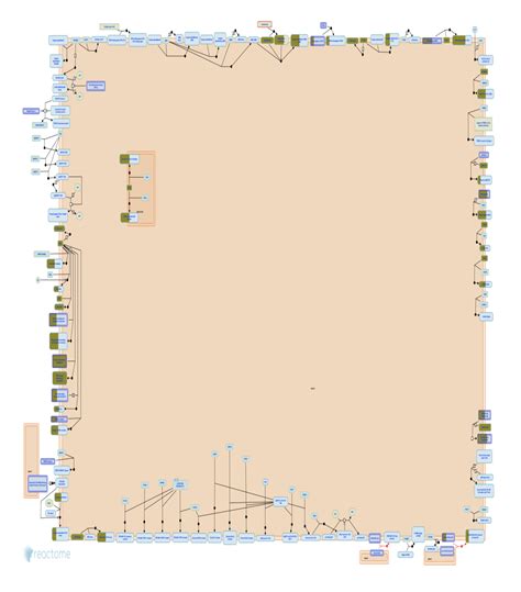 Image result for Cell Surface Protein Staining Tracking