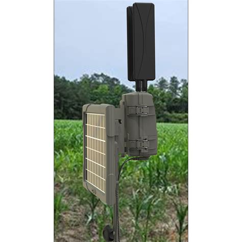 Image result for Setting Up Cuddeback