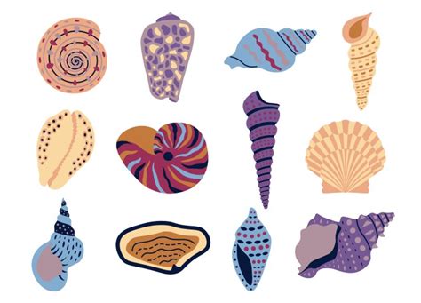 Shell 的图像结果