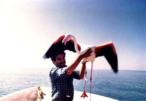 Yadollah Samadi Gallery – Artebox