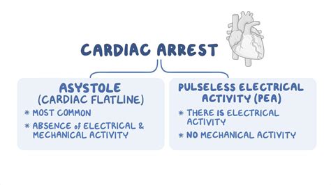 Asystole ACLS Algorithm 的图像结果