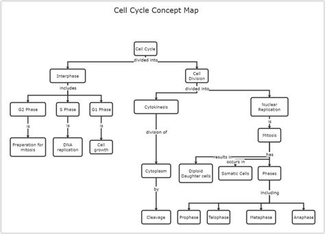 Cell Cycle Concept Map Biology 的图像结果
