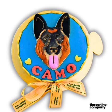 Dog Cake – The Canine Company