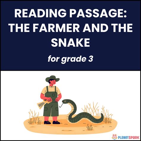 Class 6 English Worksheet on Degrees of Comparison – Positive ...