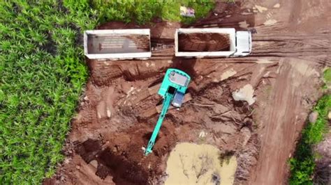 Image result for Backhoe Loading Logs