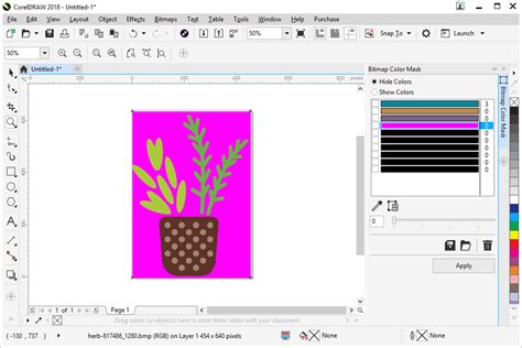 Image result for Remove Background in Corel
