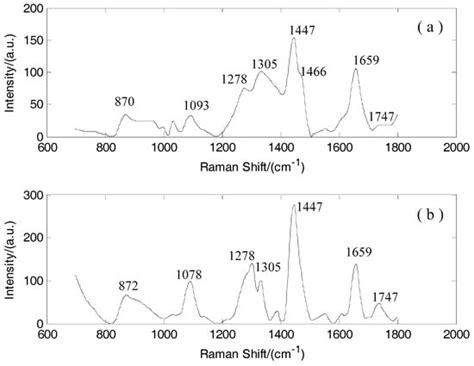 Diagnosis of Breast Cancer Tissues Using 785 nm Miniature Raman ...