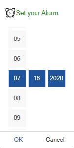 DateTimePicker WPF Visual Studio 的图像结果