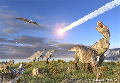 恐龙的消失，可能另有蹊跷，背后的始作俑者或不是小行星撞地球__财经头条