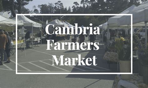 Cambria Farmers Market - Cambria Currents