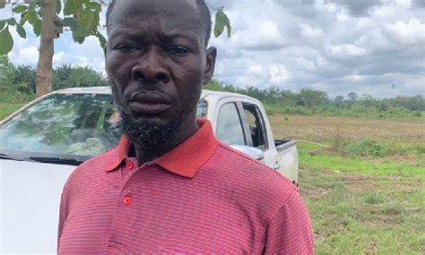 Upward Review of Cocoa Producer Price: National Best Cocoa Farmer lauds ...