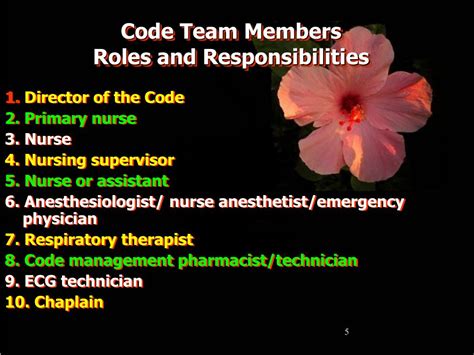 Image result for Mock Code Team Roles