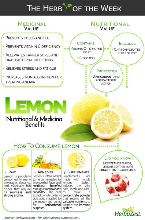 Discover the Nutritional Power of Lemons - Infographic