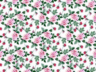 Download wallpaper white, background, roses, texture, section textures ...