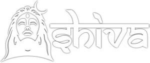 CVANU Sticker & Decal for Car Price in India - Buy CVANU Sticker ...