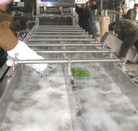 果蔬清洗流水线价格_特点参数_使用方法_适用范围_山东潍坊-食品机械行业网